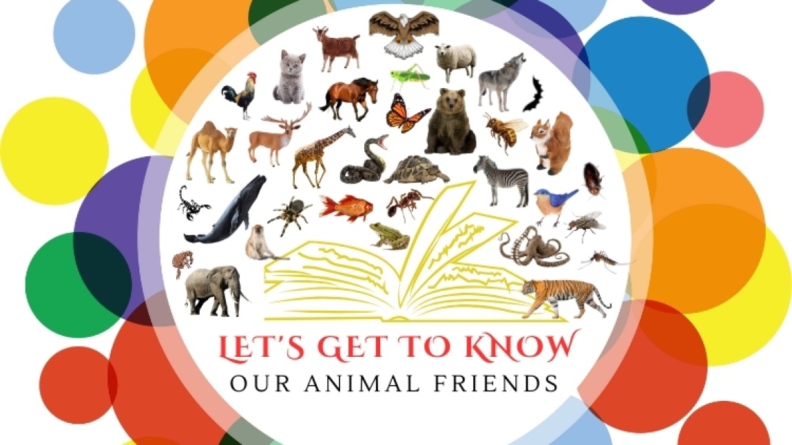 Hayvan Dostlarımızı Tanıyalım E-Twinning Projesi